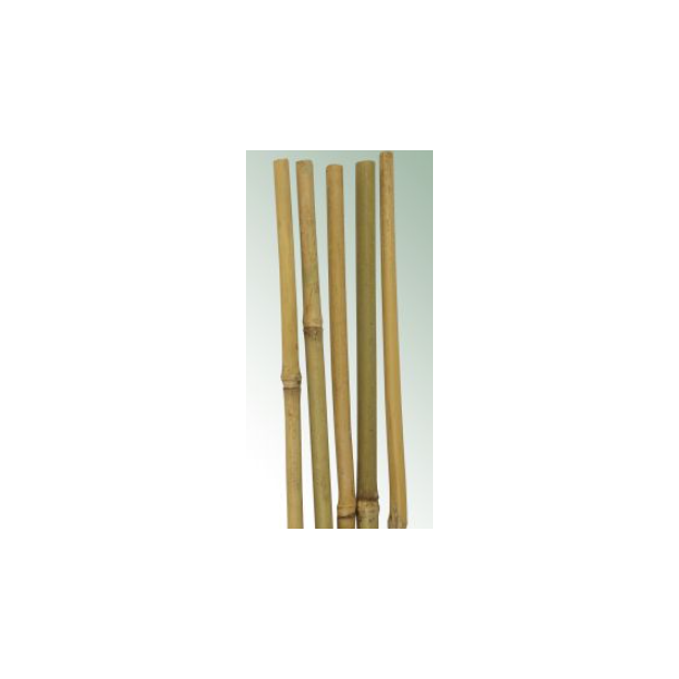 Bambus / tonkinstokke