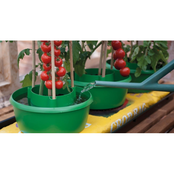 Plantepotte/tomatpotte selvvander